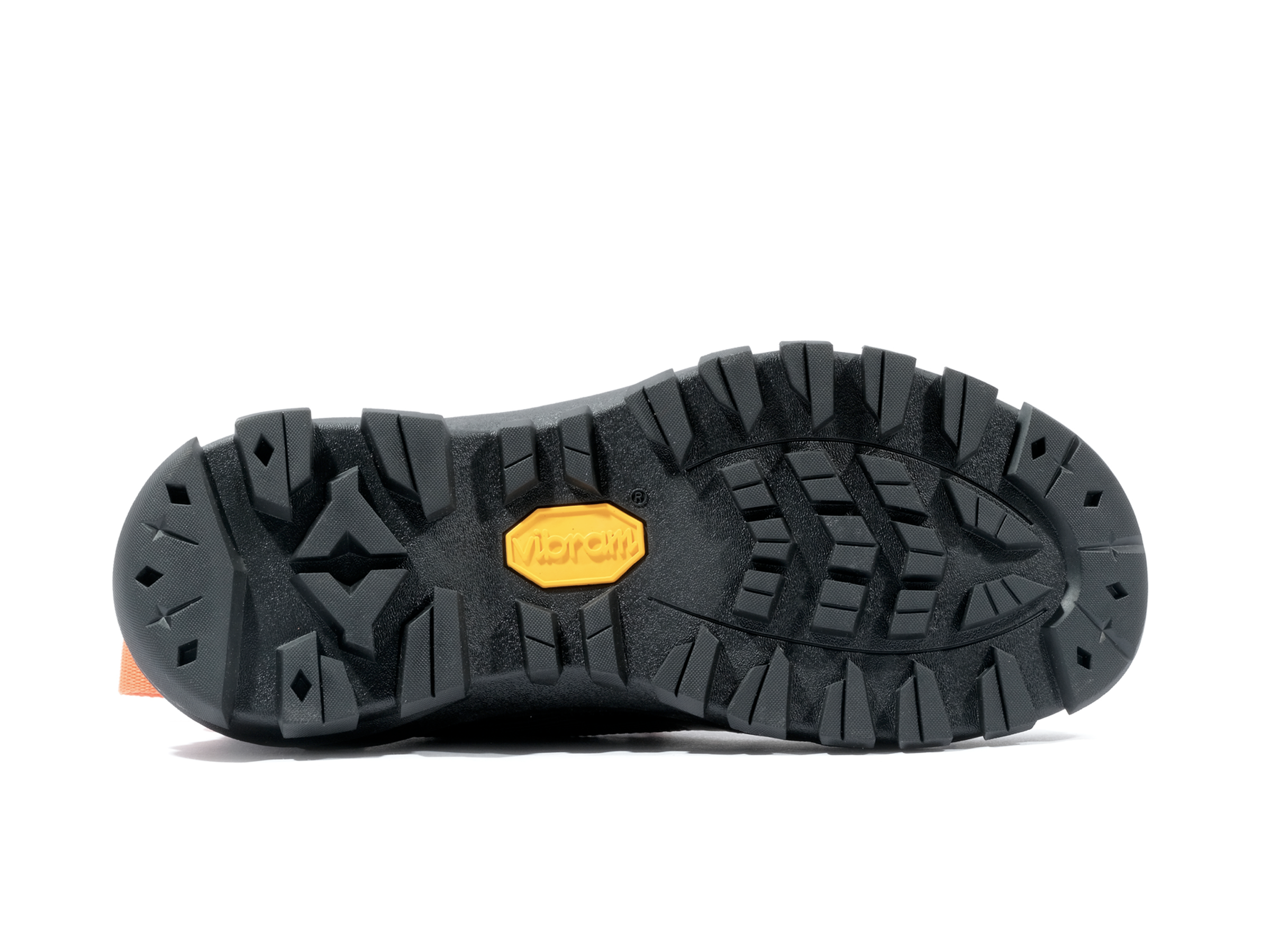 palladium amphibian