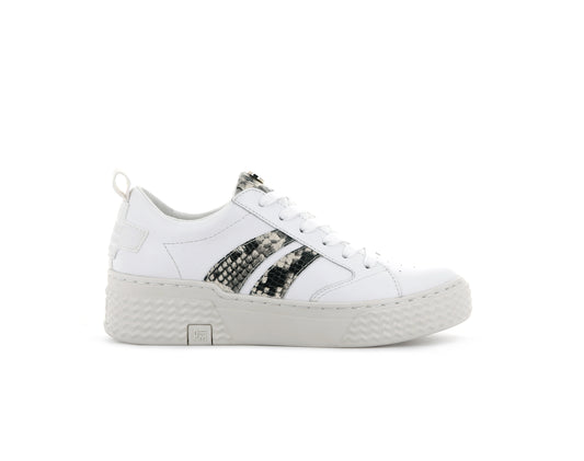 97599-176-M | EGO 03 LEA | WHITE/PYTHON
